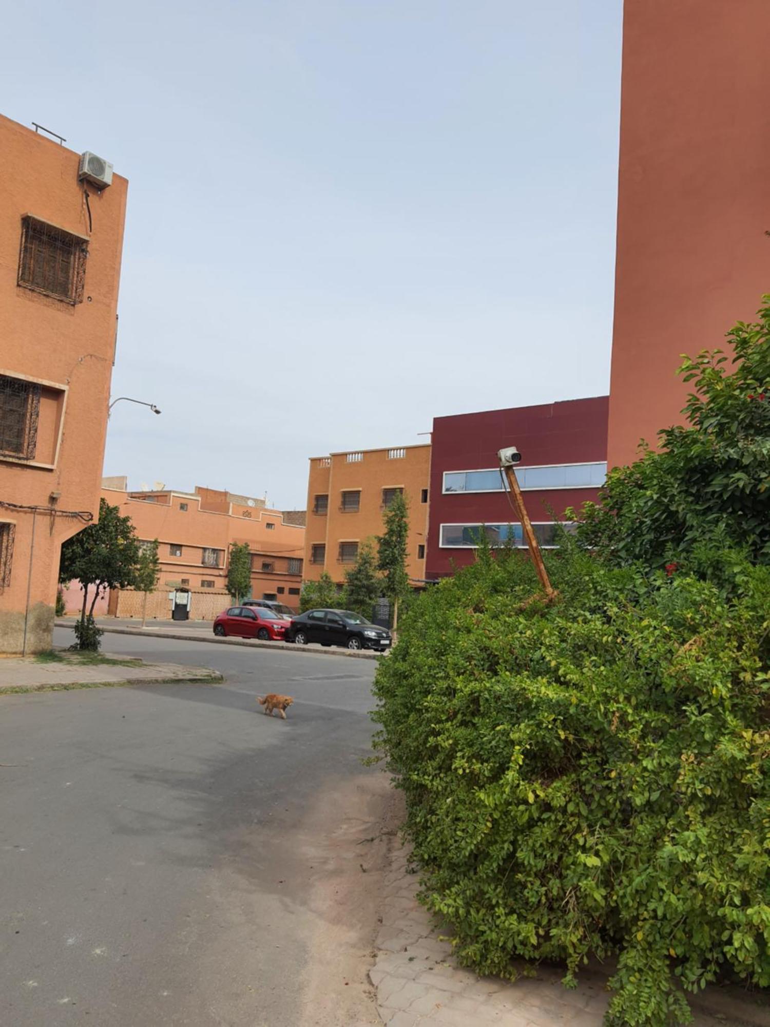 Marrakech Daire Marakeş Dış mekan fotoğraf