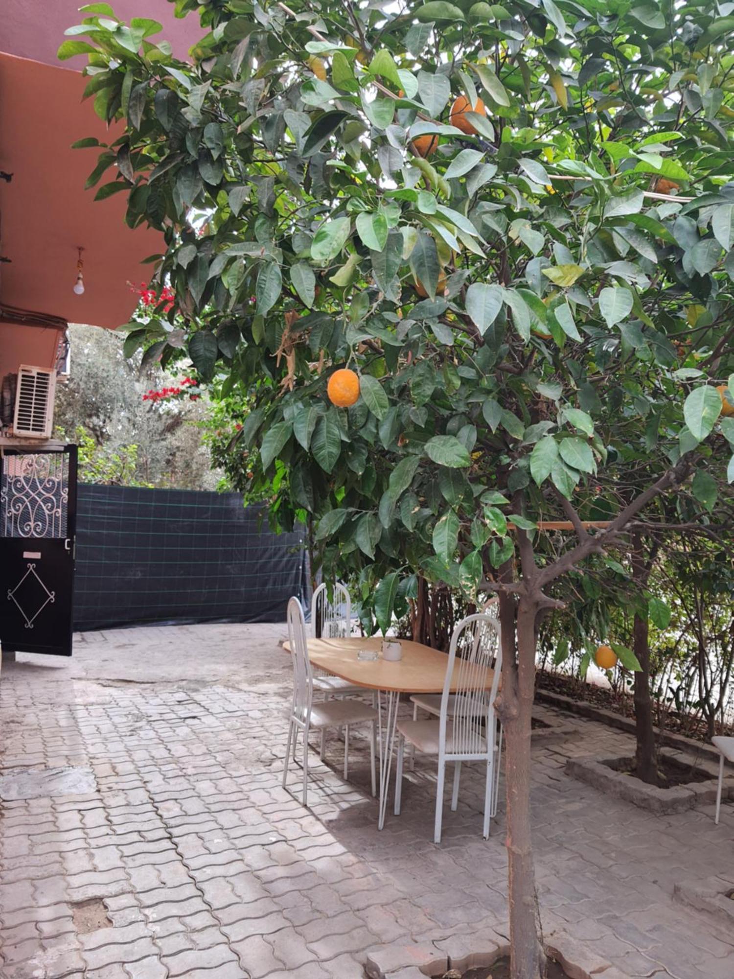 Marrakech Daire Marakeş Dış mekan fotoğraf